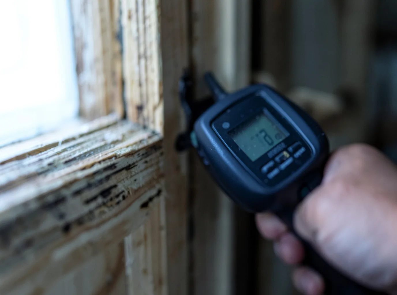 Moisture Inspection And Documentation in Saint Francis, MN